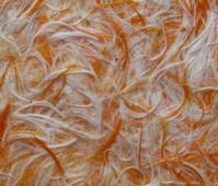 Green fashion wall decoration materials-Paints