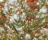 Green building materials Interior wall decor Wall finish E-002