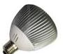 LED spotlight P30-H2