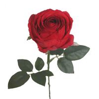 natural touch artificial flowers