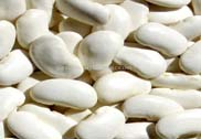 white kidney bean