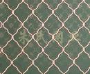 beautiful grid wire mesh