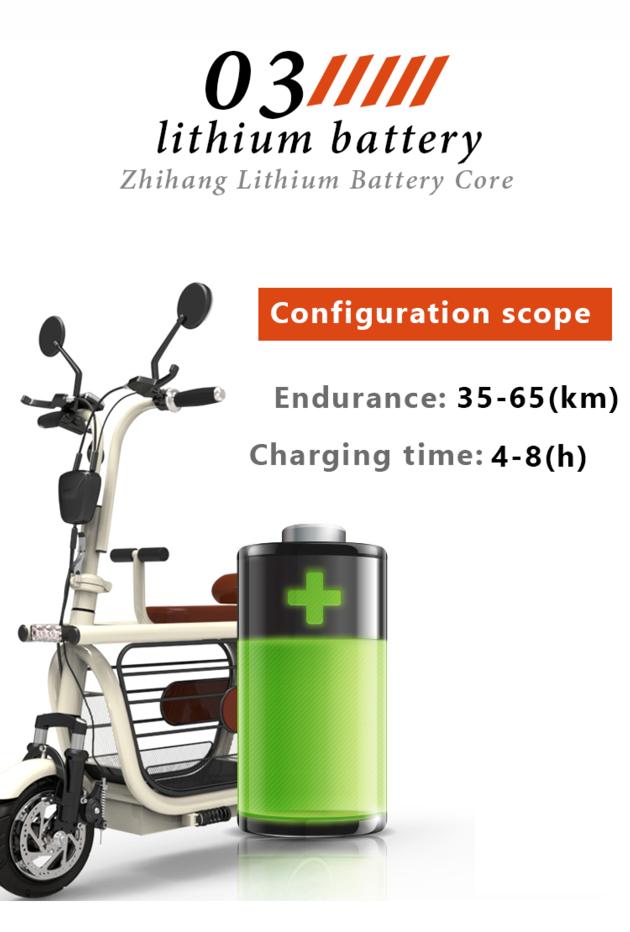 Pet Storage 30km Electric Bicycle EBike