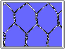 hexagonal wire mesh