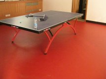 PVC Table Tennis Sports Floor for Indoor Rolls