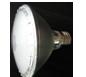 LED light PAR38