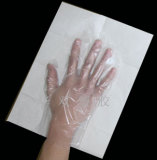 EVA/PE Gloves(on Paper)