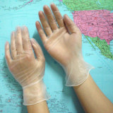 Vinyl Gloves