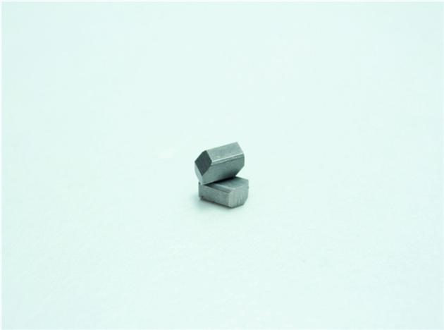 45593002 Universal AI Parts Trigger