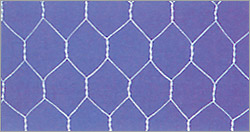 Hexagonal wire mesh