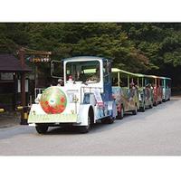 high quality electric trains