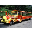 electric train in china