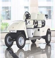 electric car in china