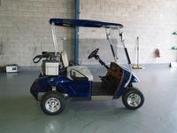 electric golf cart - CHW-G604