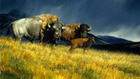 Oil paintings-Animal