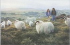 Paintings for country life