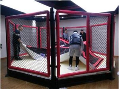 Mma Octagon Fighting MMA Cage Sale