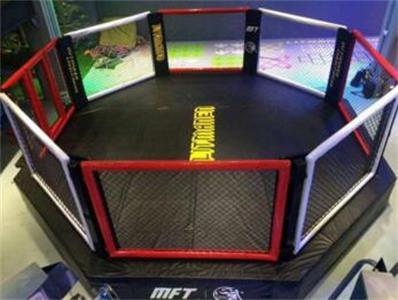 Mma Octagon Fighting MMA Cage Sale, Boxing Ring Mma Cage From China