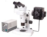 BestScope BS-3060F Fluorescent Stereo Microscope