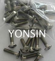  YONSIN Titanio bolts