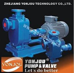 CYZ-A self-priming centrifugal oil pump