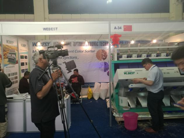 WEBEST Automatic CCD Rice Color Sorter