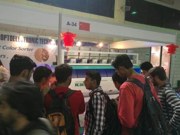 WEBEST Automatic CCD Rice Color Sorter