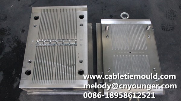 plastic security seal mould factory 