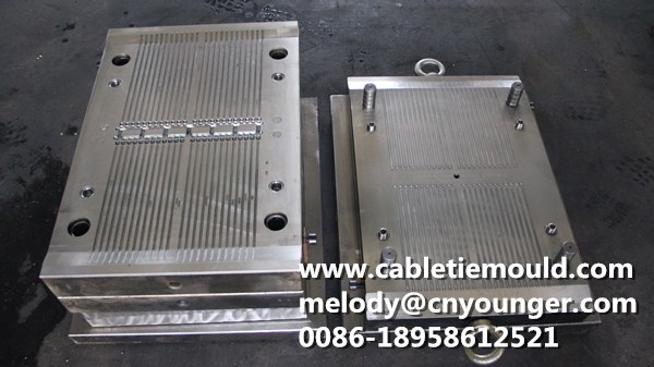 Cable Clip Mould