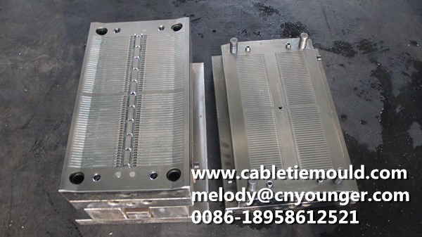 Cable tie mould Cable tie mould factory in China