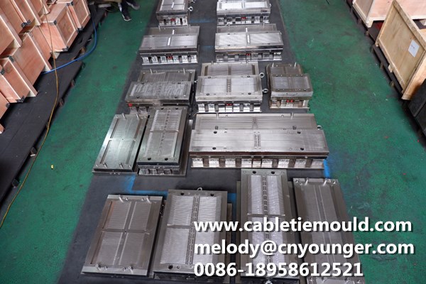 Cable Tie Mould Bolt Cable Ties