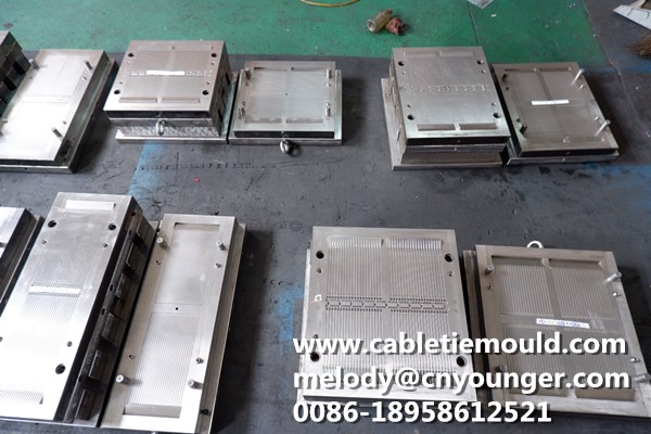 Lateral Toothed Cable Ties Mould