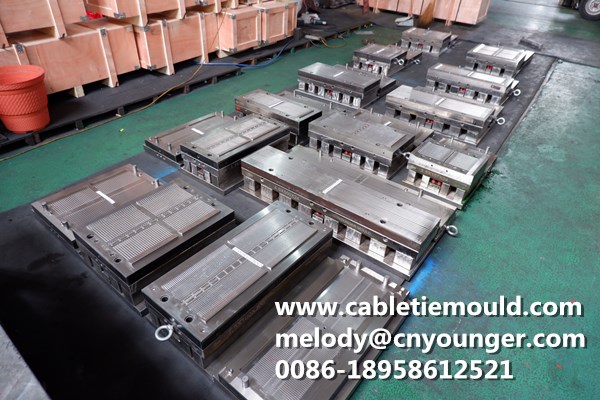 Cable Tie Mould Bolt Cable Ties