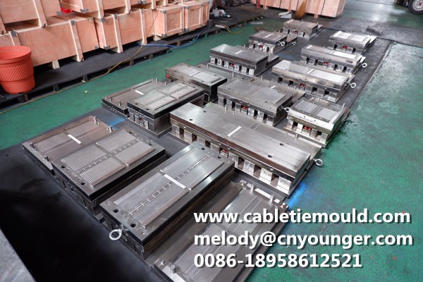 Cable Tie Mould Cable Tie Non