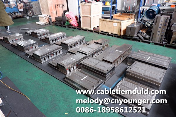 Plastic Security Seal Mould Factory