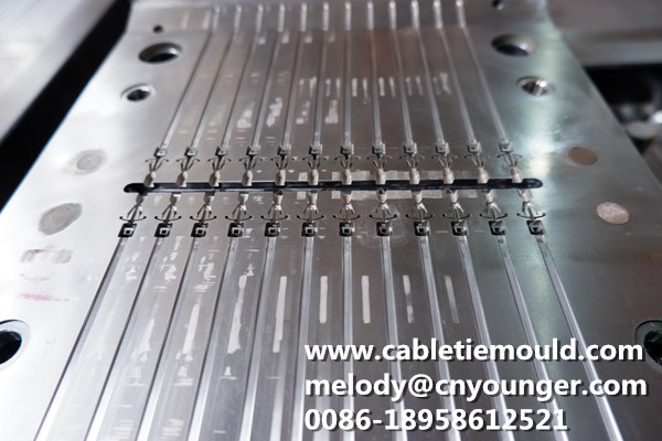 Cable Tie Mould Cable Tie Non