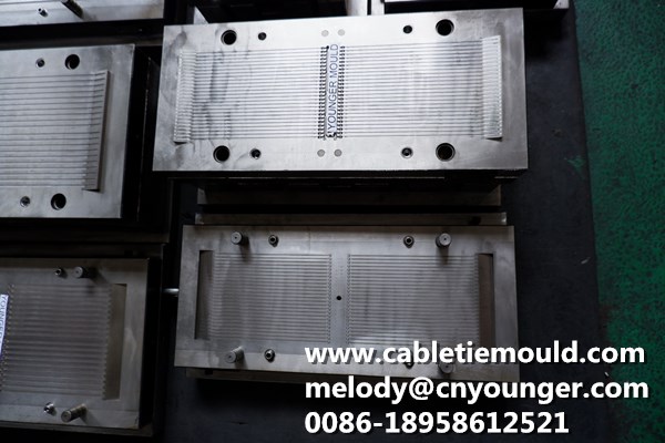 Cable Tie Mould Nylon Cable Tie