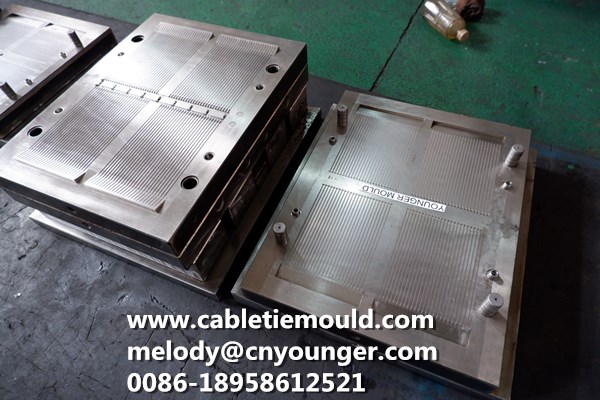 Cable Tie Mould Nylon Cable Tie