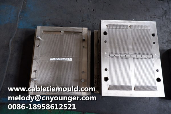 Push Lock Rivet Mould