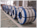 cold & hot rolled steel products