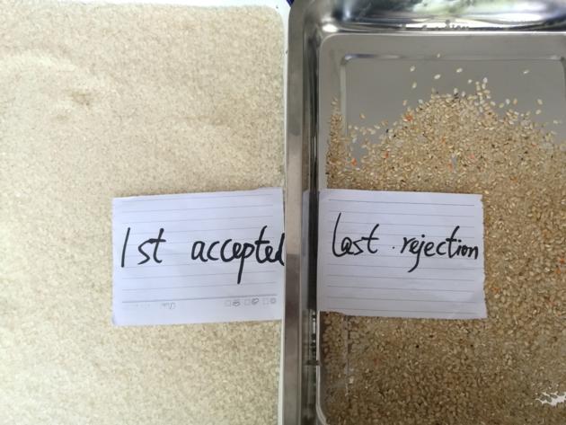 China Manufacturer WEBEST Rice Color Sorter