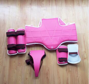Wholesale Chest Protector For Taekwondo Chest Guard/Body protector/Taekwondo Equipment
