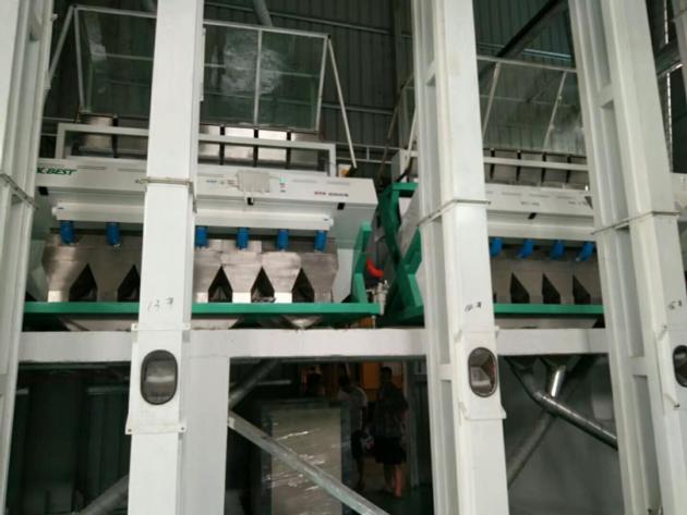 China Manufacturer WEBEST Rice Color Sorter