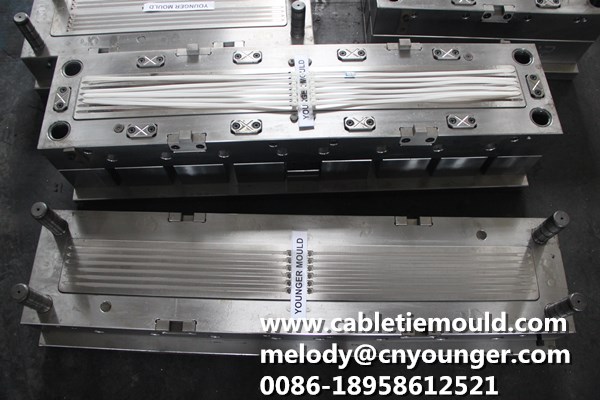 Sheet Edge Buckle Cable Ties Moulds