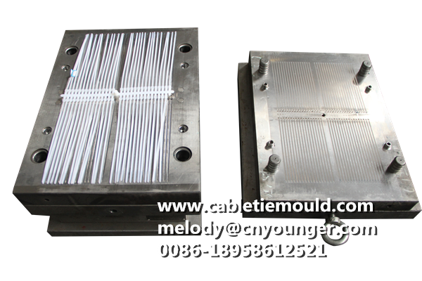 push mount cable ties mould