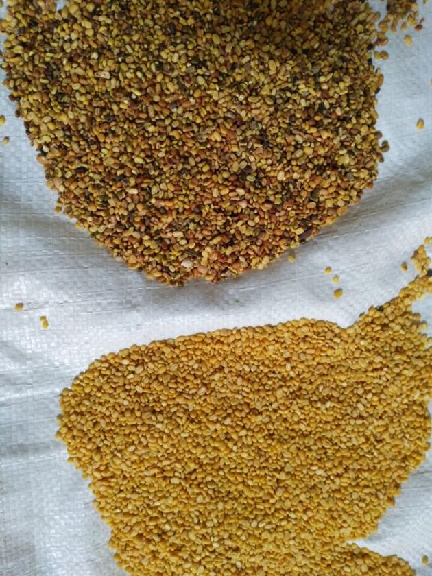 China Factory Price WEBEST Peeling Bean