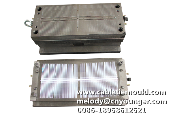 Push Mount Cable Ties Mould