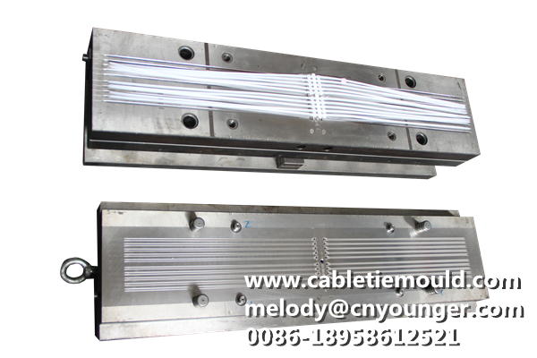 Push Mount Cable Ties Mould