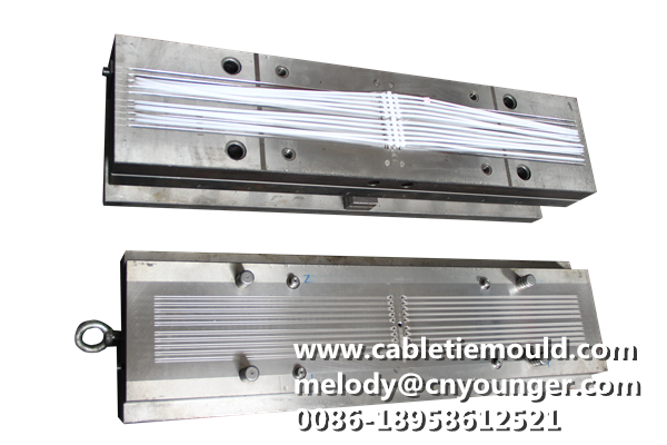 Cable Tie Mould Sheet Edge Buckle