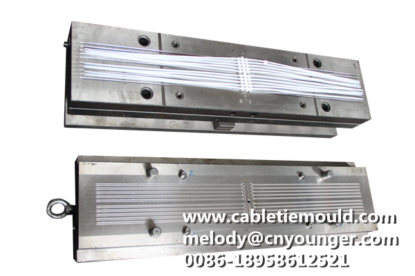 Cable Tie Mould Rail Transportation Special